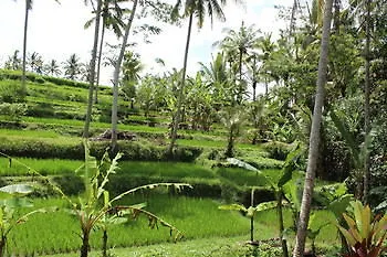 Villa Junjungan Resort Pool & Spa 3*, Ubud (Bali)