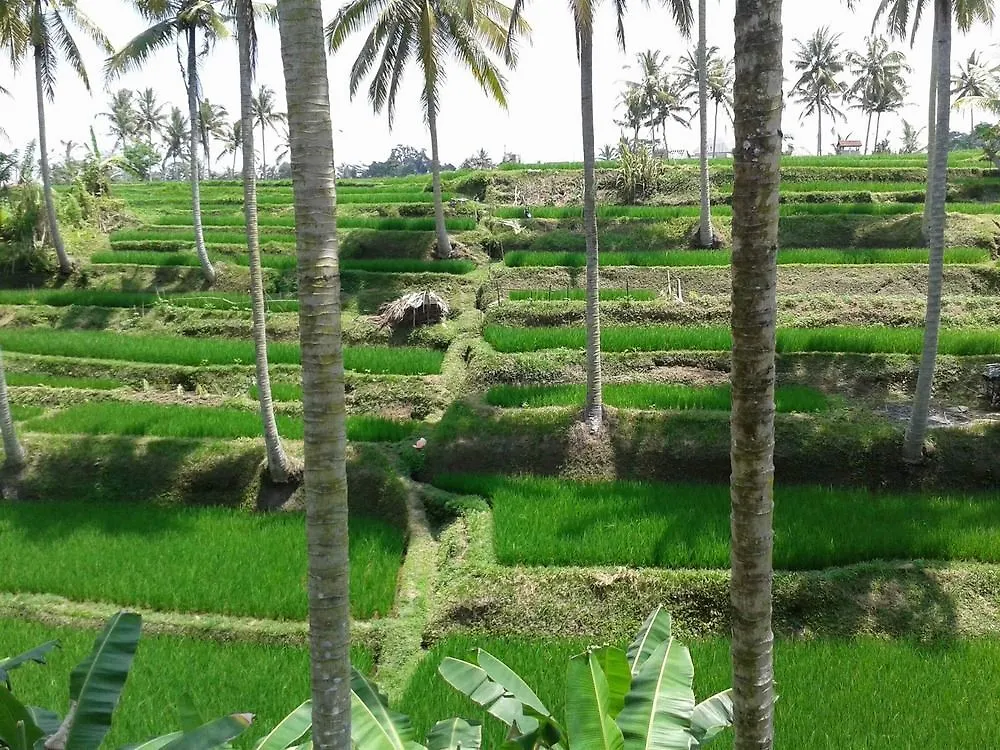Villa Junjungan Resort Pool & Spa Holiday park Ubud (Bali)