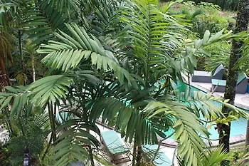 Villa Junjungan Resort Pool & Spa Holiday park Ubud (Bali)